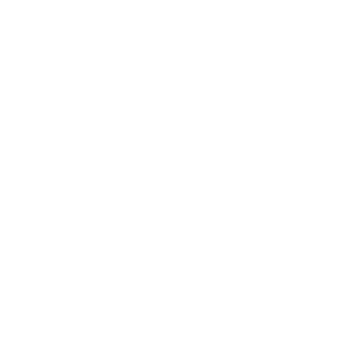 Fisioterapia Geri&aacute;trica